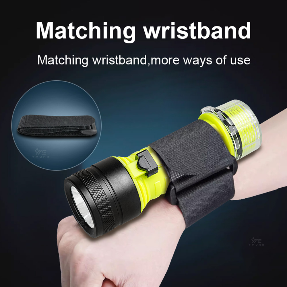 New Portable Professional LED  - Fishing Light review and price